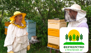 Симбиоз пчеловодства и животноводства